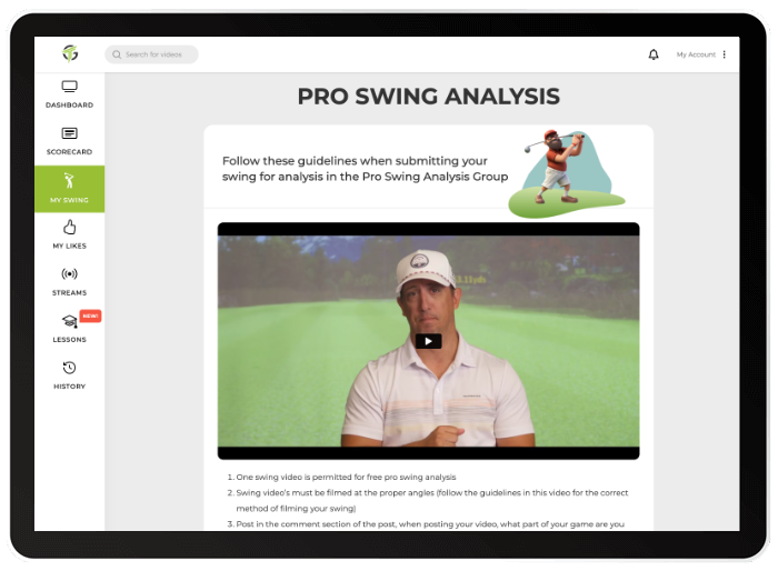 Pro Swing Analysis